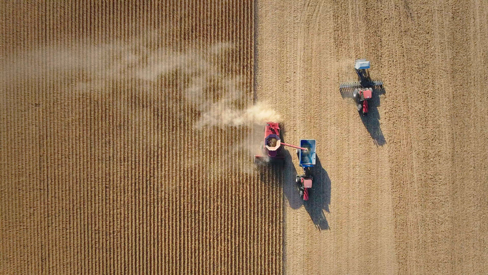 New documentary shines a light on ultra-processed foods - Fast Company