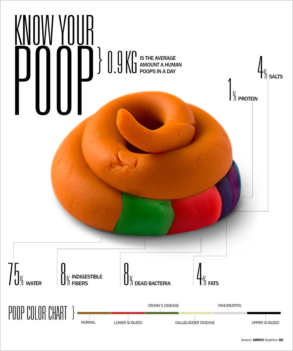 Sql Poop Infographic: Everything You Were Afraid To Ask About Poop - Fast Company