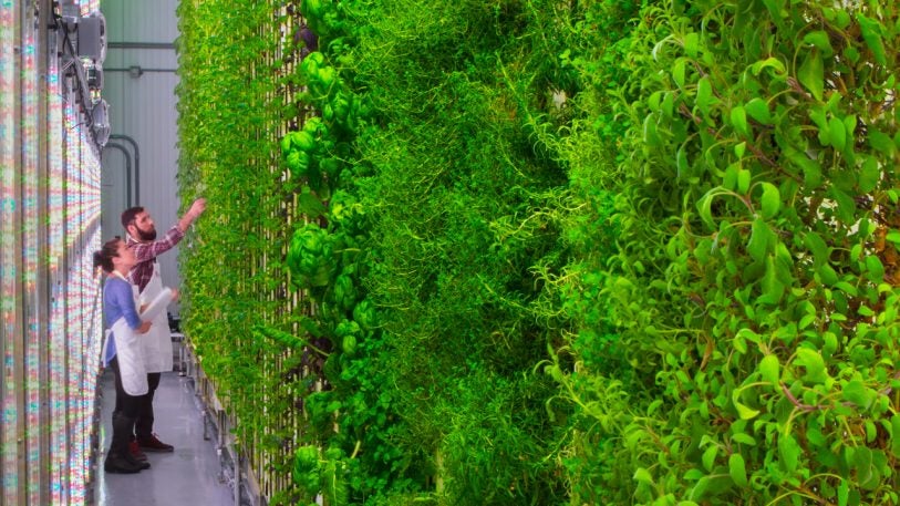 Has This Silicon Valley Startup Finally Nailed The Indoor Farming Model ...