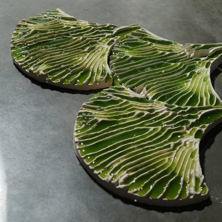 Image result for Algae tiles turn walls into living water filtration systems - Fast Company