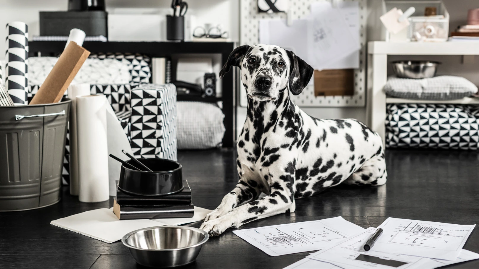 Ikea is launching new pet products, a year after a major recall Fast