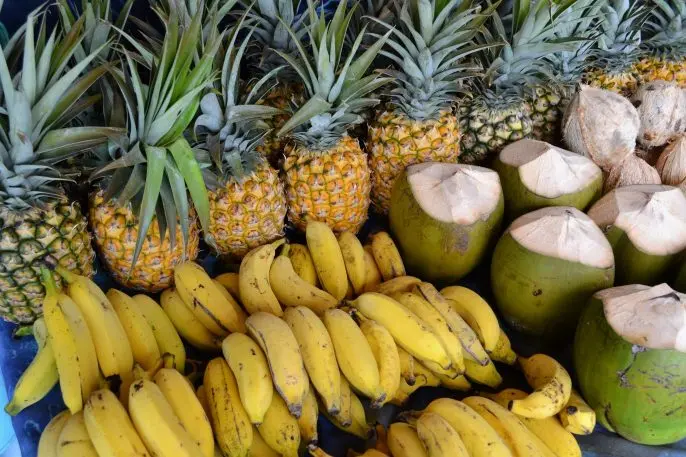 A photograph of pineapples, bananas, and coconuts