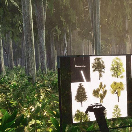 Oculus Tree Can a hike through a VR forest make people understand climate change ...