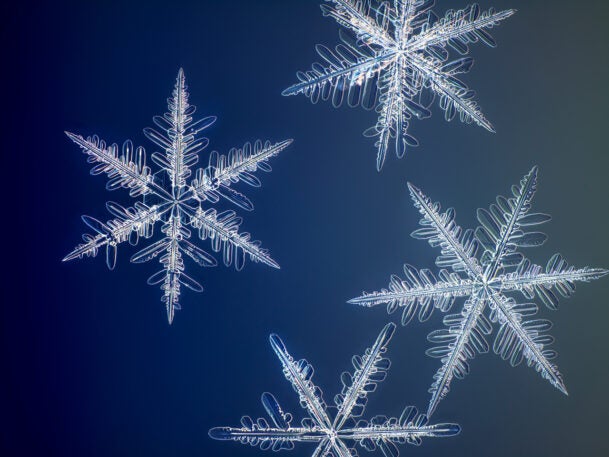 Snowflapes These stunning images of snowflakes will make you see winter in a whole ...