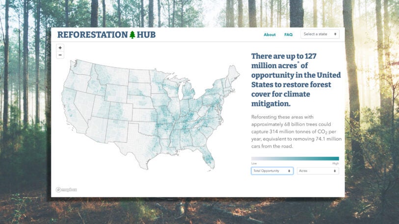 Map: Here's where we could plant 68 billion trees in the U.S. - Fast ...