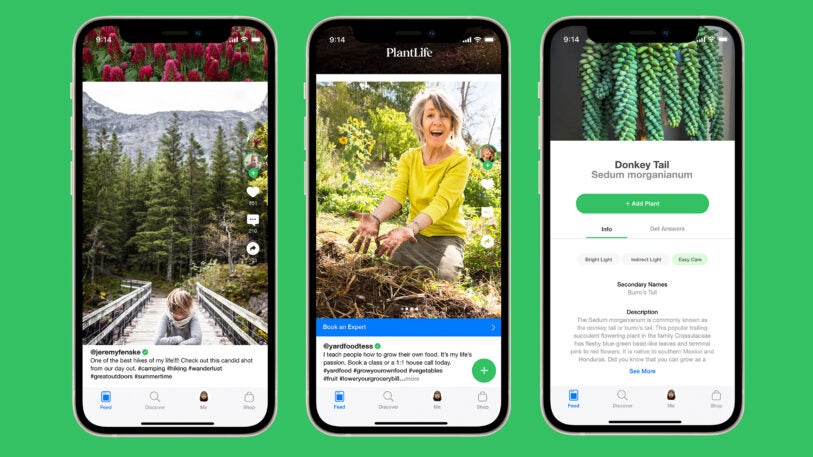 This new app is TikTok for your plants, made by Apple and Nike alums - Fast  Company