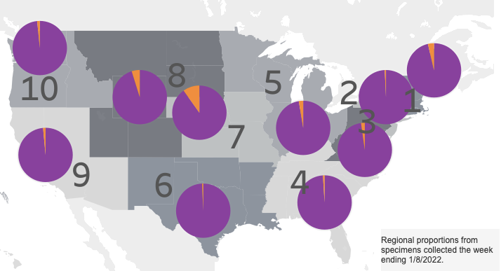Omicron variant in the U.S.: Updated CDC tracker now shows near ...