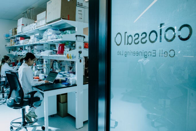 Colossal Labs Rats How a billion-dollar startup plans to bring back the dodo