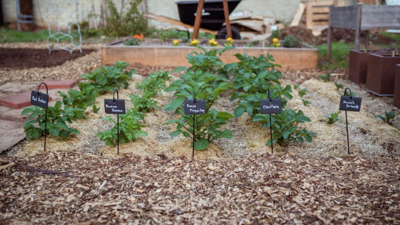 Epic Gardening's quest to win the booming grow-your-own movement