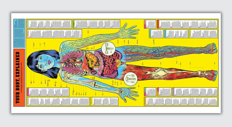How design helped the ‘New York Times’ woo a whole new generation of ...