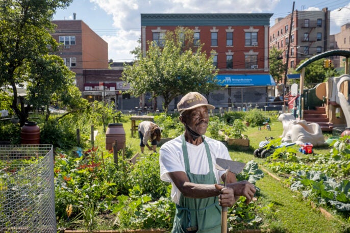 Here's how to make community gardens more climate-friendly