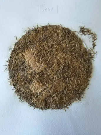A close up photo of dried moss used in the book, its texture looks to be simultainously soft and rough.