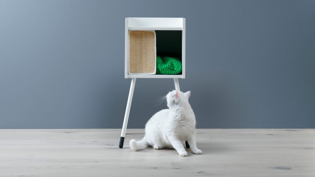 welches katzen nassfutter Kstlich | Premium Nassfutter fr Katzen