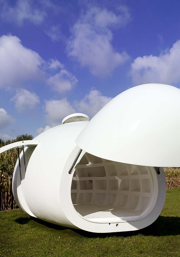 dmvA egg