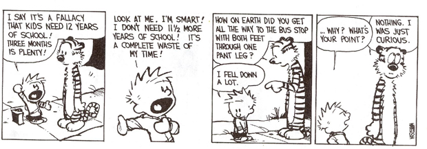 The Lit World S Other Recluse Calvin Hobbes Creator Speaks