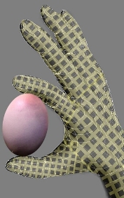 E-skin glove and egg