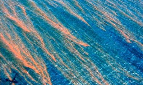 Gulf oil spill