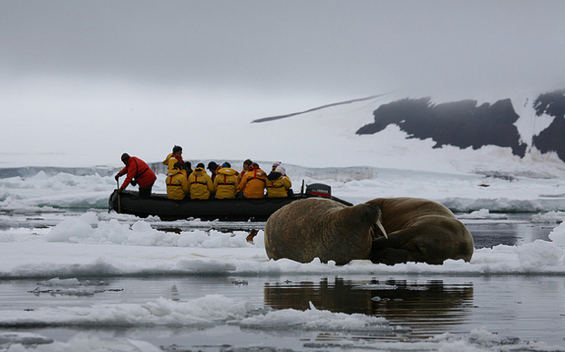 If Climate Change Isn’t Happening, Why The Fight For The Arctic?