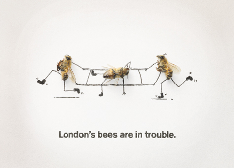 London bee postcard