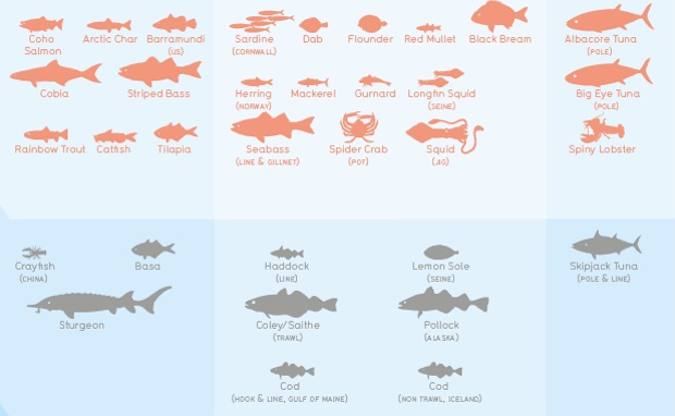 Handy Chart Makes Fish Decisions Easy