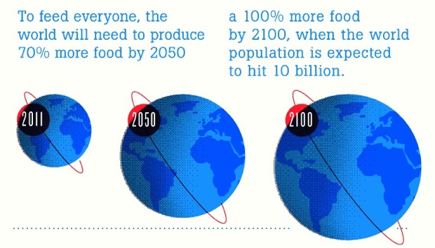 infographic-people-are-starving-but-there-is-enough-food-to-go-aroun