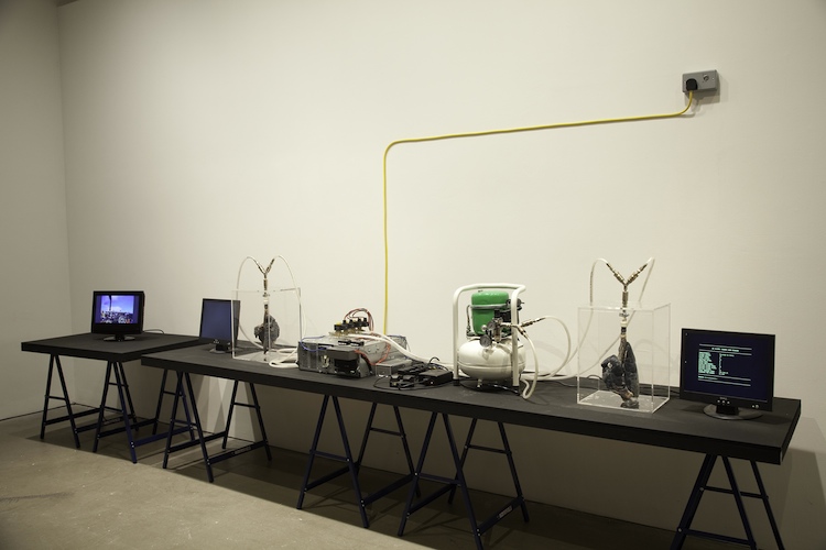 Interactive Art Shows the Fun Side of Computer Science | Co.Design ...