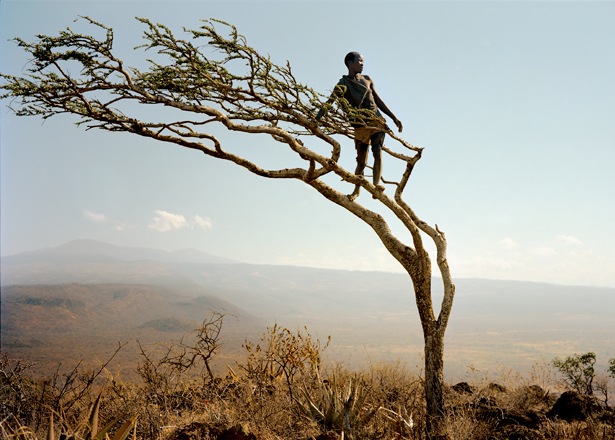Hadza