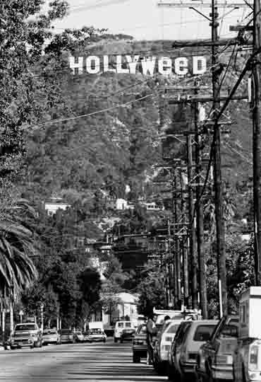 Hollyweed
