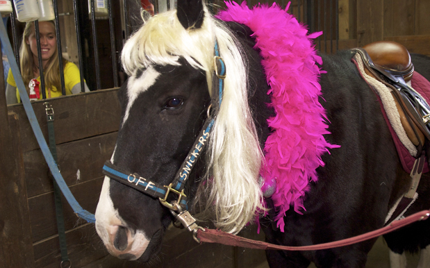 Gaga FarmVille horse