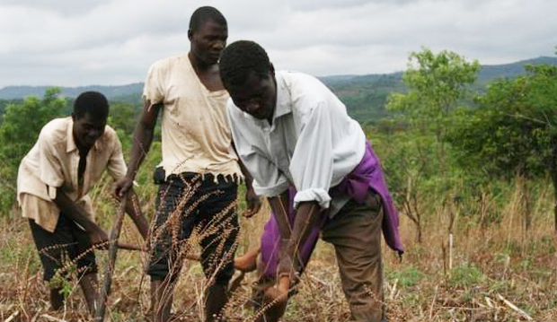 rural farmers