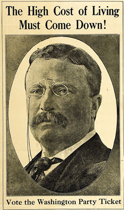 Teddy Roosevelt poster